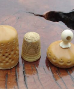 Stanhope Vegetable Ivory Thimble Case, Aberystwyth - Image 4