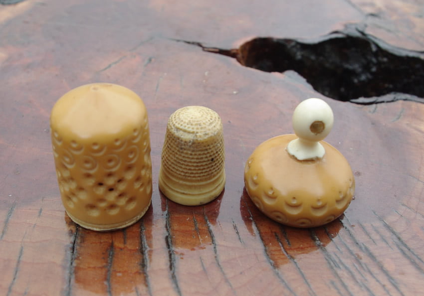 Stanhope Vegetable Ivory Thimble Case, Aberystwyth - Image 4