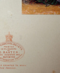 Alternative view of Baxter Print The Conchologists