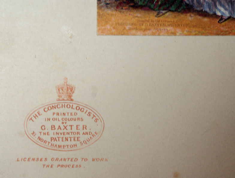 Baxter Print The Conchologists - Image 2