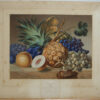 Fruit No 2 (after Lance)