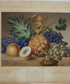 Fruit No 2 (after Lance)