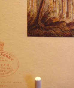 Baxter Print Netley Abbey - Image 3
