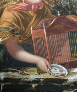 "Come Pretty Robin" - Image 3