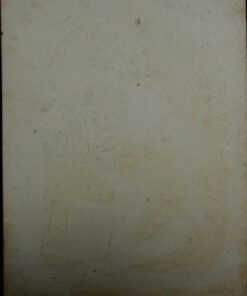 "Come Pretty Robin" - Image 4