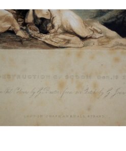 Baxter Print No 10 Destruction of Sodom - Image 3