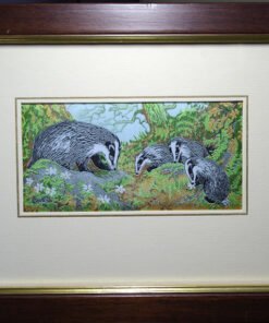 Cash's Badgers