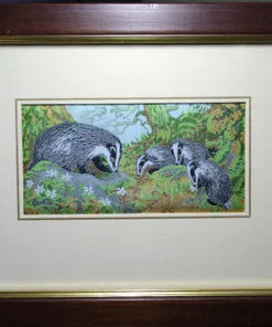 Cash's Badgers