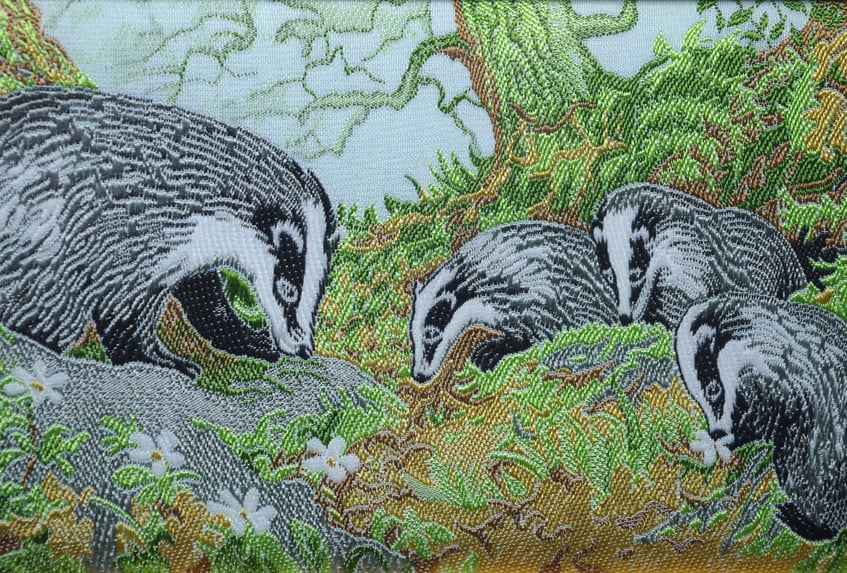 Cash's Badgers - Image 2