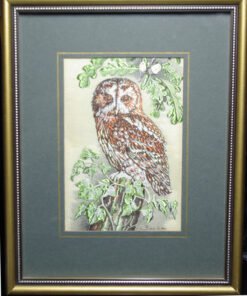 Cash's Tawny Owl