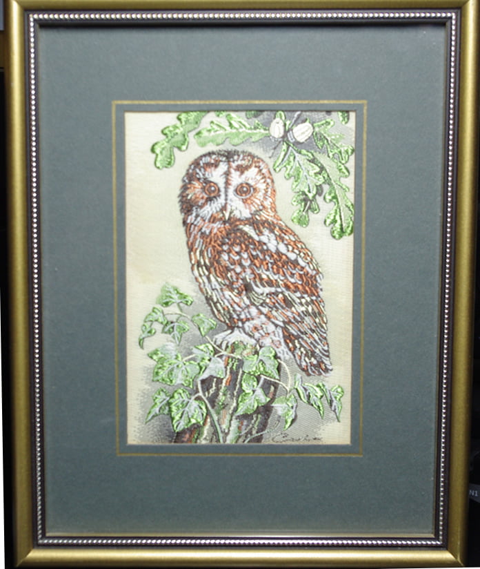 Cash's Tawny Owl