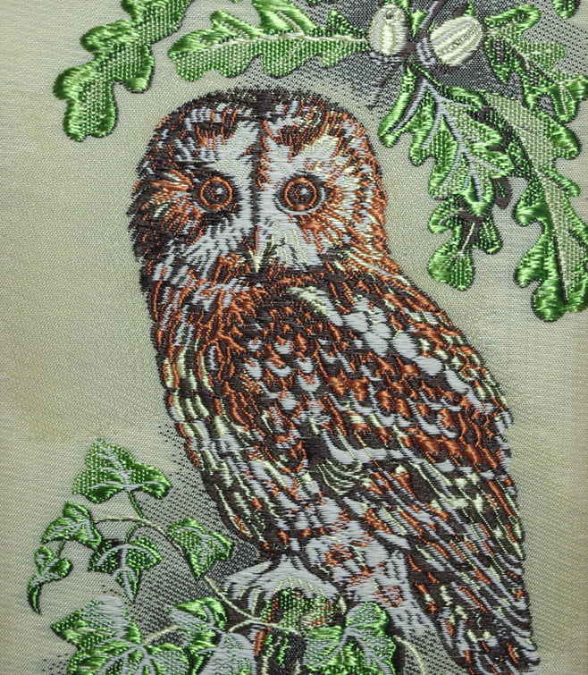 Cash's Tawny Owl - Image 3