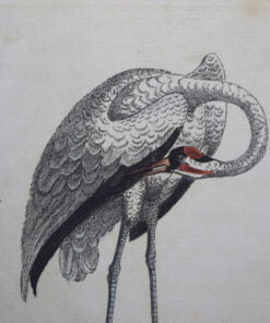 Pair of Harrison, Cluse & Co Antique Prints - Image 3