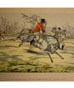 Nine Fawcett Prints - Image 3