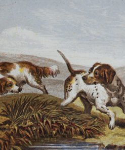 Alternative view of Two Spaniels