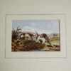 Two Spaniels