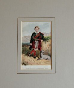 The Queen's Youngest Son