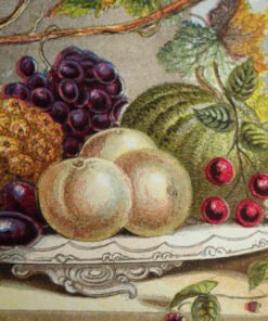 Fruit - Image 3