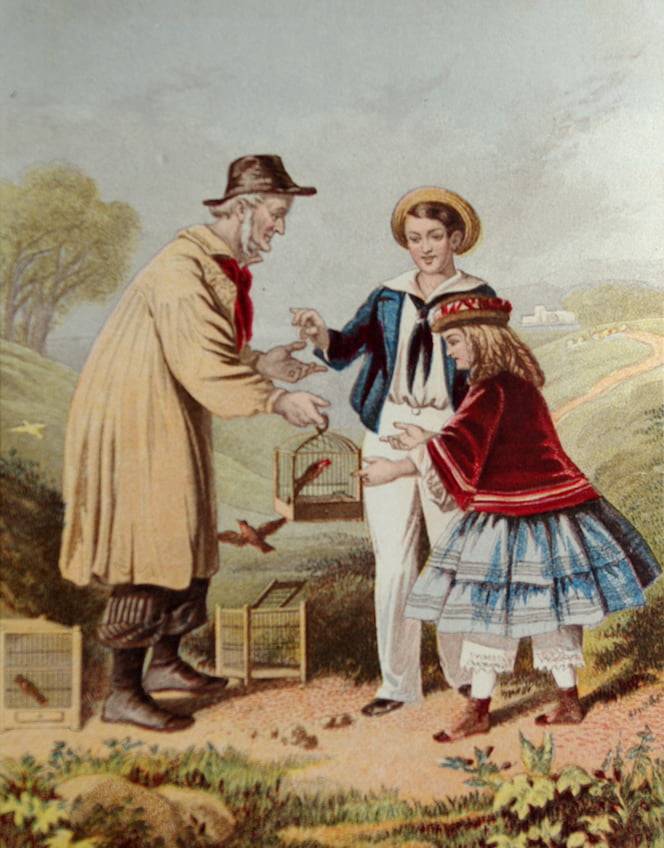 The Bird Seller