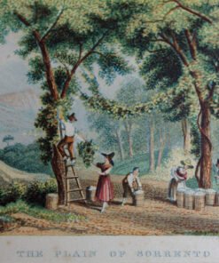 The Plain of Sorrento - Image 3