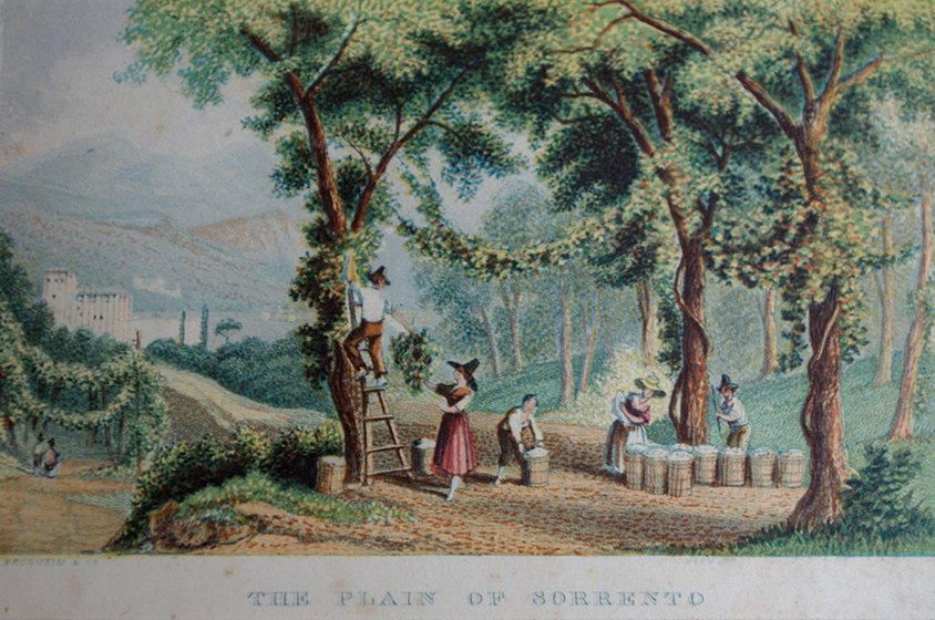 The Plain of Sorrento - Image 3