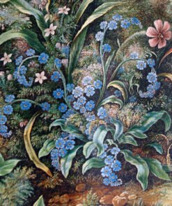 Alternative view of Forget-me-nots
