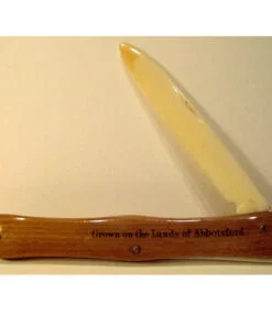 Alternative view of Mauchline ware Unusual Fruit Knife "Grown on the Lands of Abbotsford".