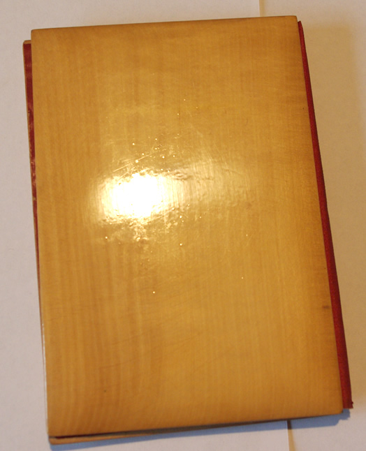Mauchline ware Blotter Desk Accessory "Lydd". - Image 7
