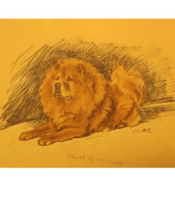 Alternative view of Lucy Dawson Book Illustration