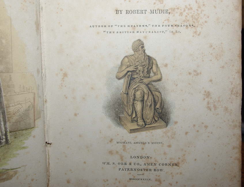 Man in his Intellectual Faculties by Robert Mudie - Image 2