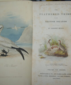 The Feathered Tribes of the British Islands by Robert Mudie (First Edition)