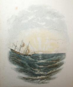 The Sea by Robert Mudie - Image 5