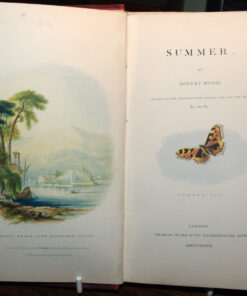 Summer by Robert Mudie