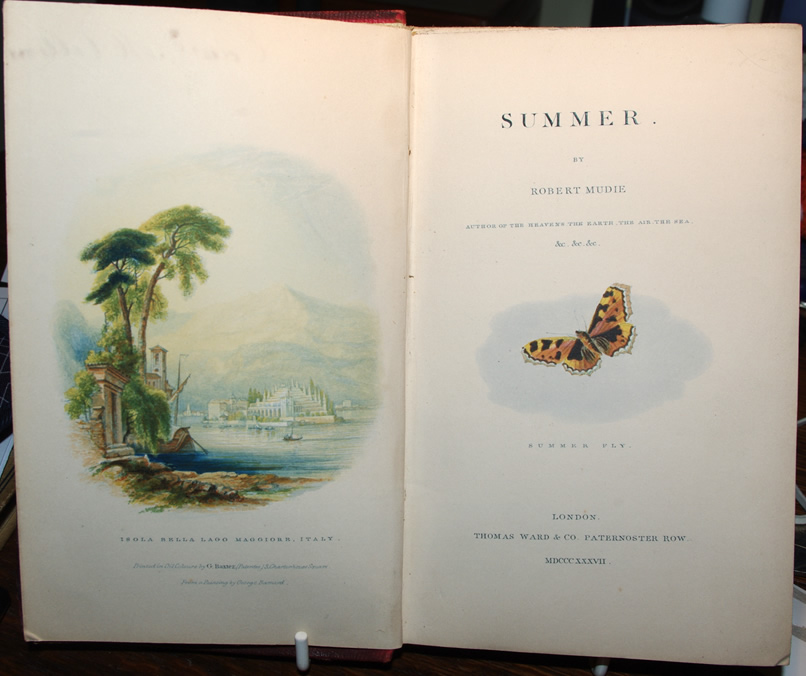 Summer by Robert Mudie
