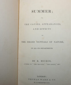 Summer by Robert Mudie - Image 5