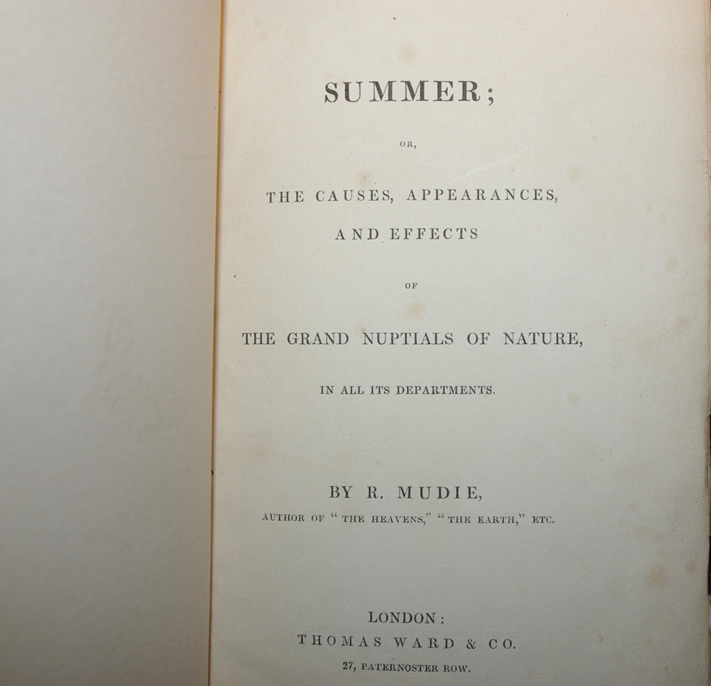Summer by Robert Mudie - Image 5