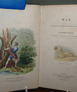 Man in his Physical Structure and Adaptations by Robert Mudie