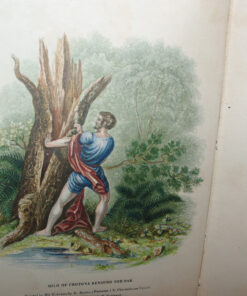 Man in his Physical Structure and Adaptations by Robert Mudie - Image 4
