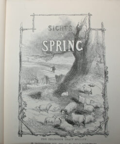 Sights in All Seasons - Image 4
