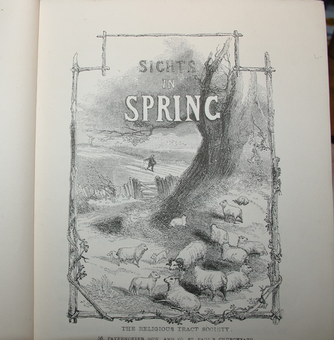Sights in All Seasons - Image 4