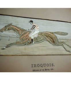 Alternative view of Stevengraph of Iroquois