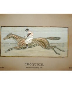 Stevengraph of Iroquois - Image 4