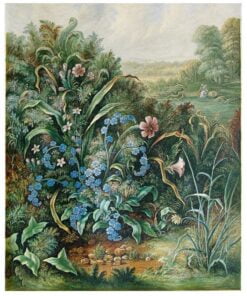 Forget-me-nots