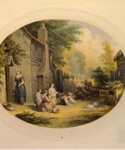The Pet Rabbits