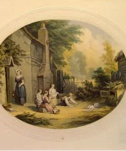 The Pet Rabbits