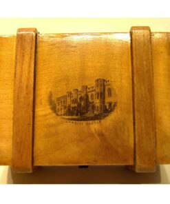 Trunk Box