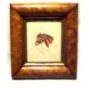 Watercolour of Horses Head