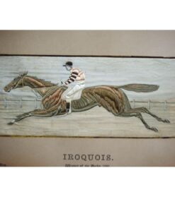 Iroquois